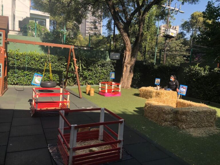 WhatsApp Image 2022-07-01 at 4.16